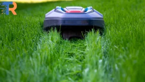 robotic lawn mowing business (3)